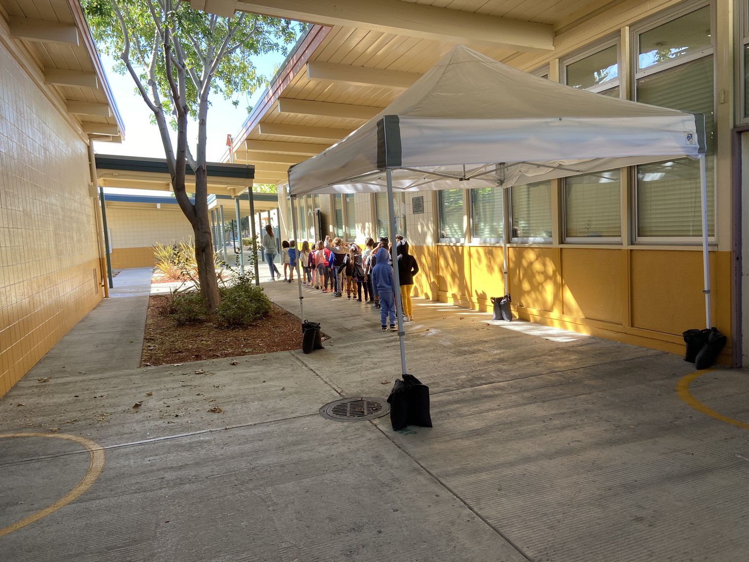 A line of students walking behind their teacher