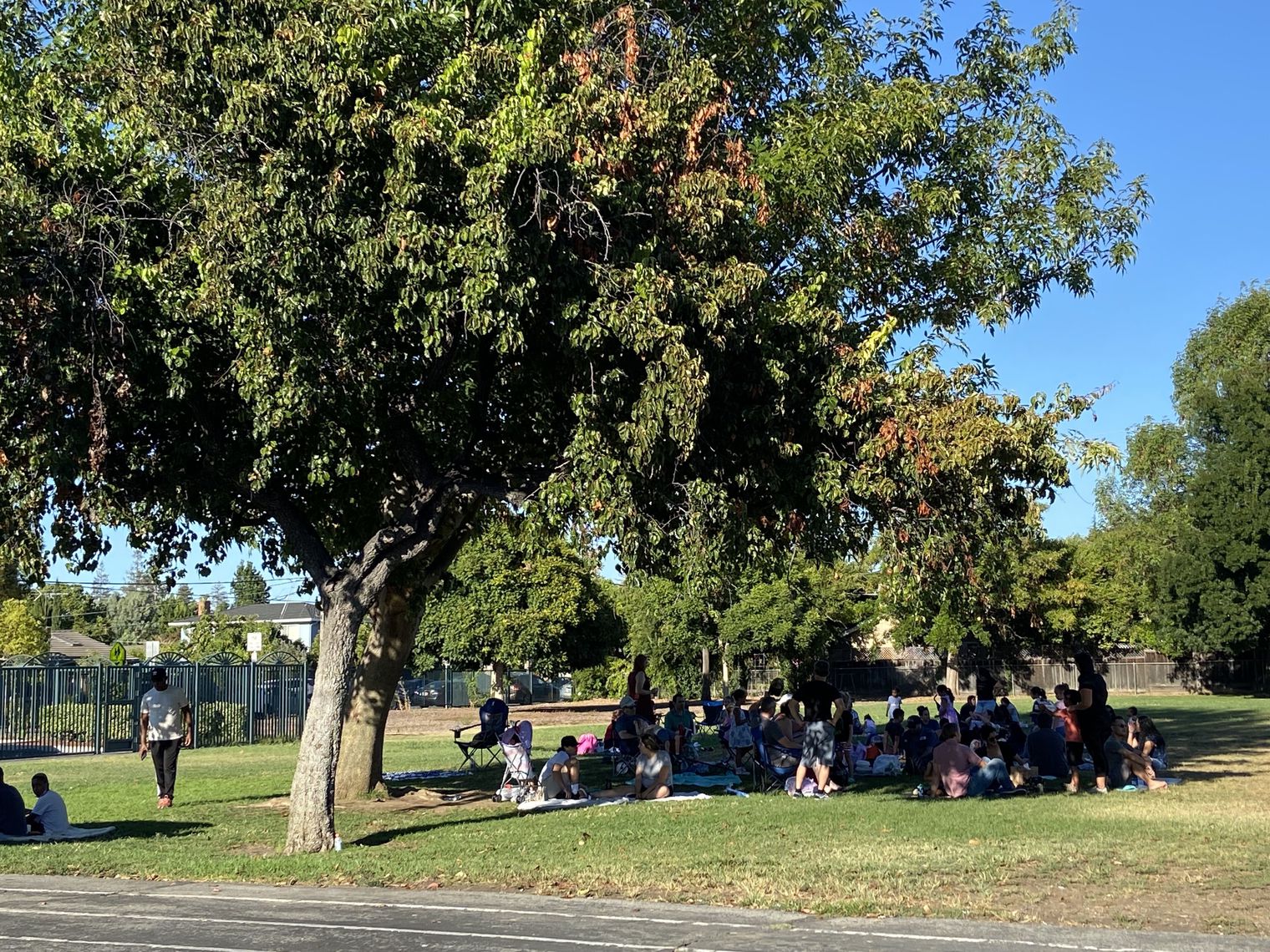 Picnic under a large tree