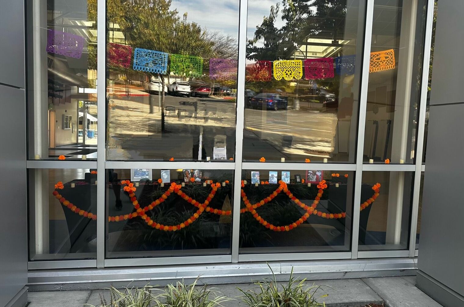 Dia de Los Muertos Ofrenda