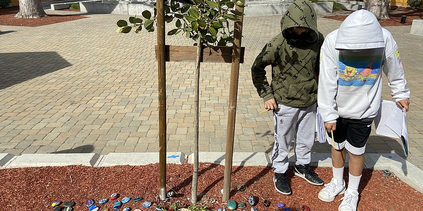 Two students look at a tree and memorial painted rocks