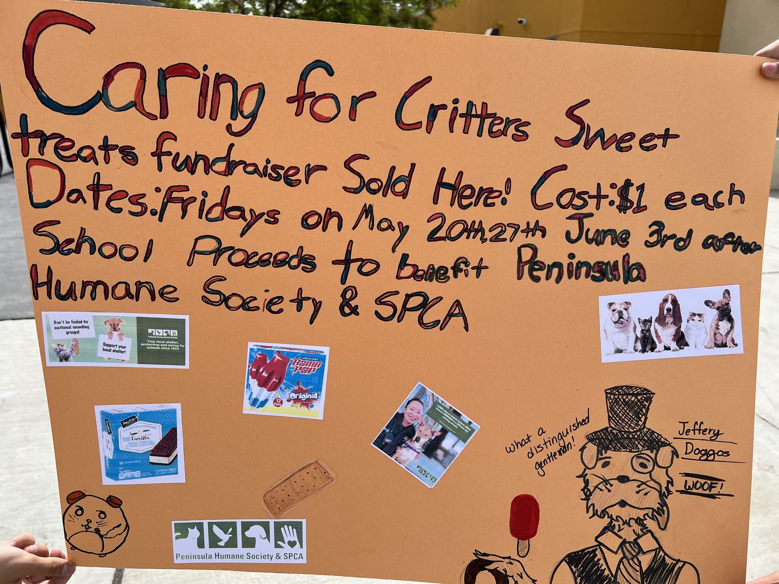Hand-lettered sign advertising Caring for Critters