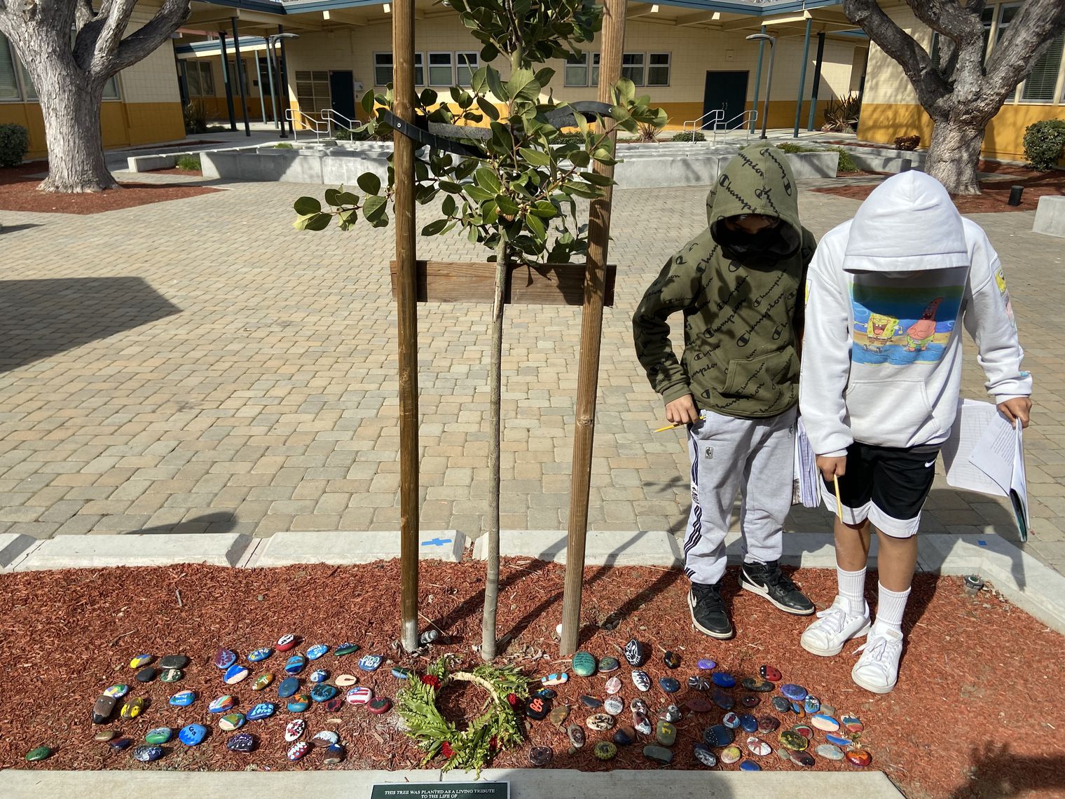Two students look at a tree and memorial painted rocks