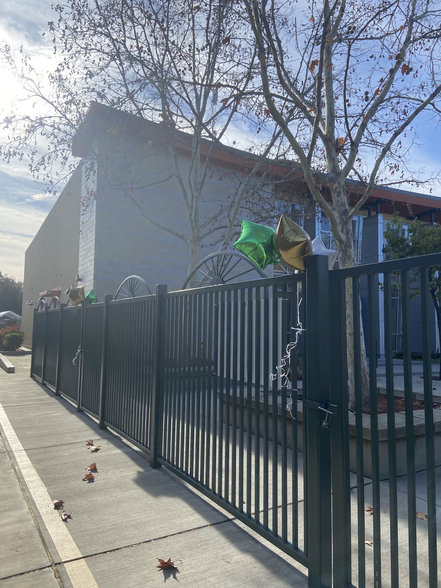 Green and Gold ballons near the school multiuse room