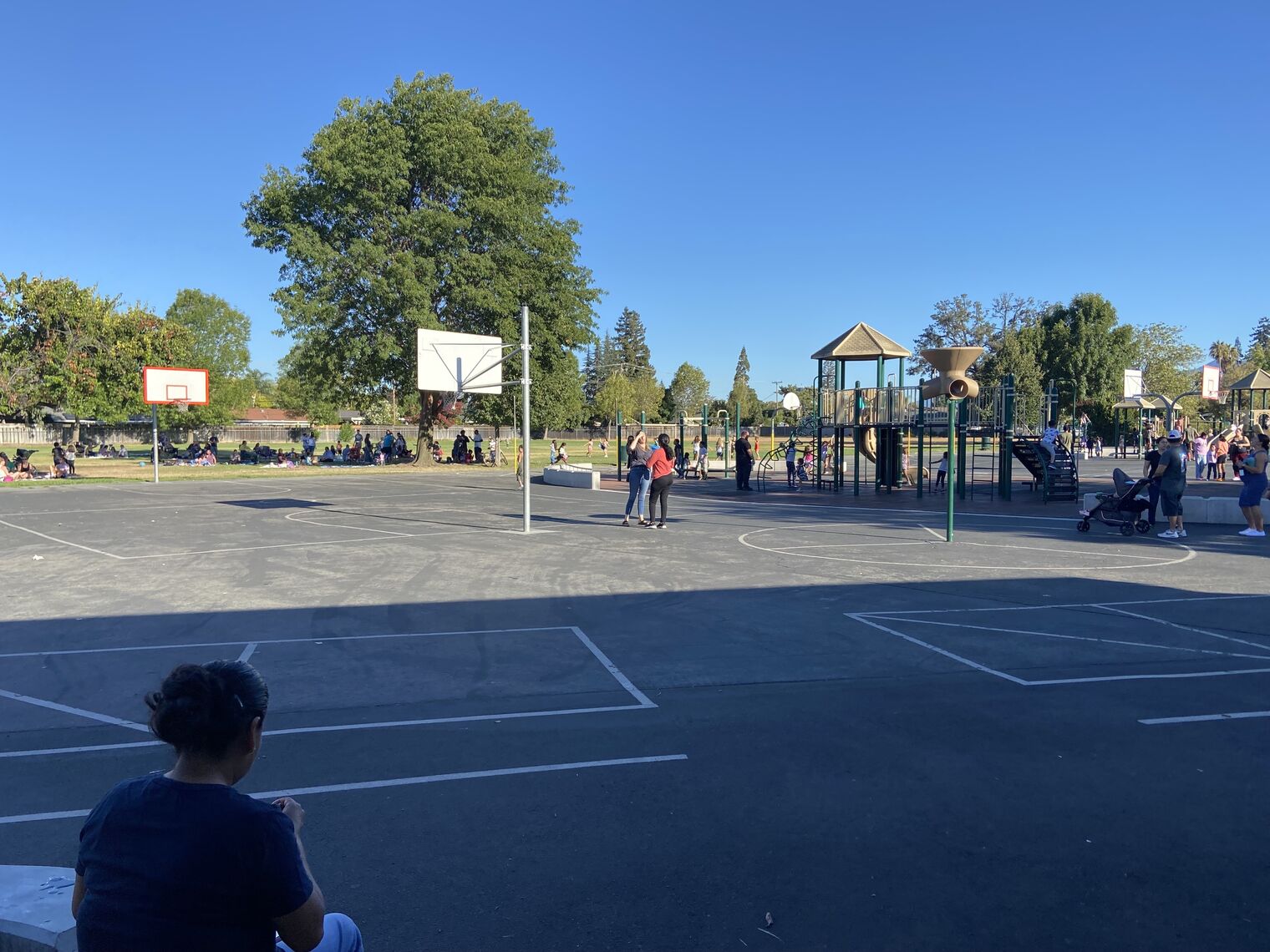 School yard with many families