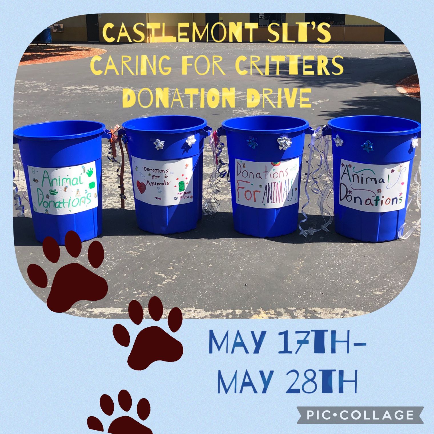 Caring for Critters Drive