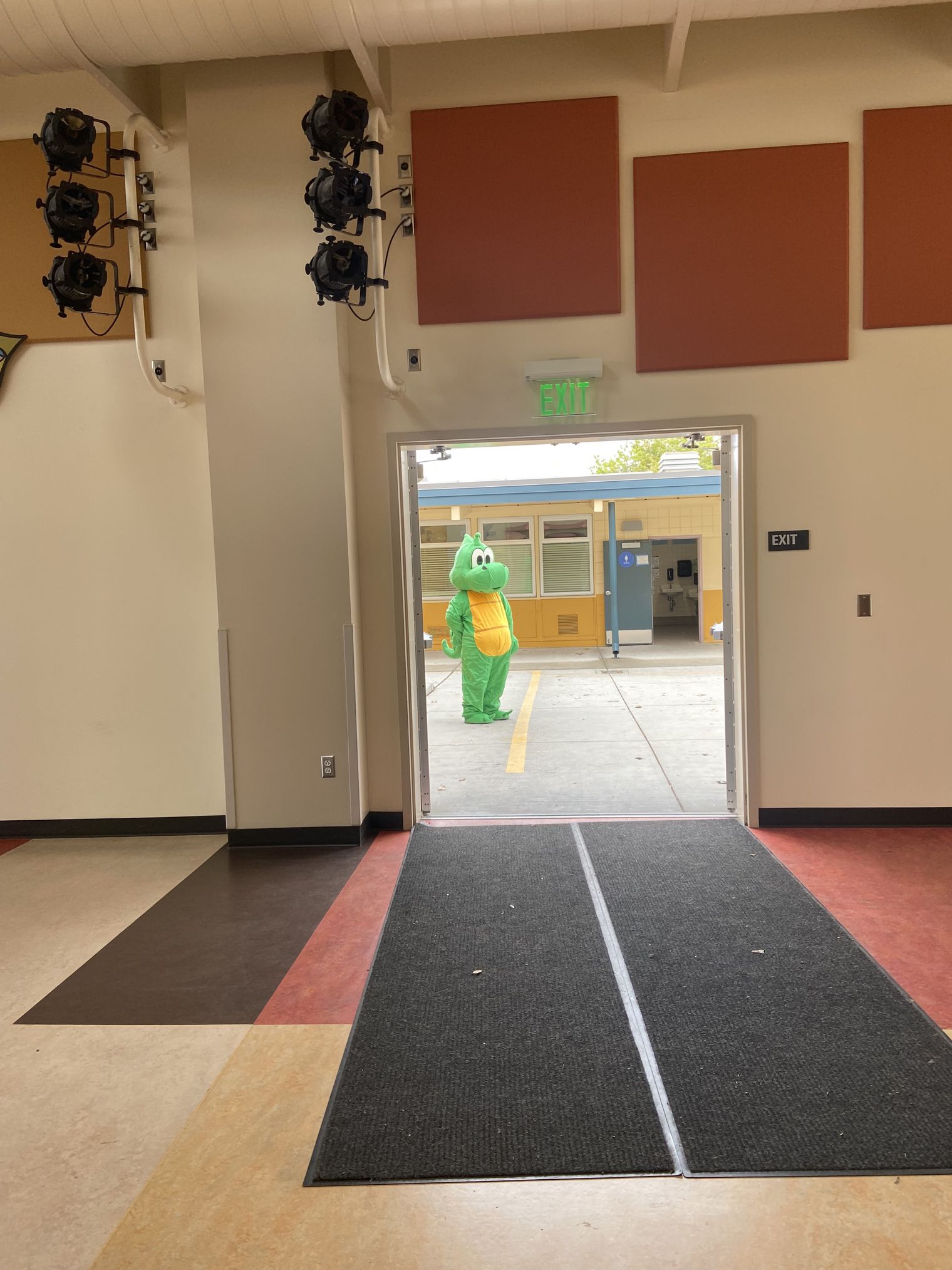 Dragon mascot seen through an open door