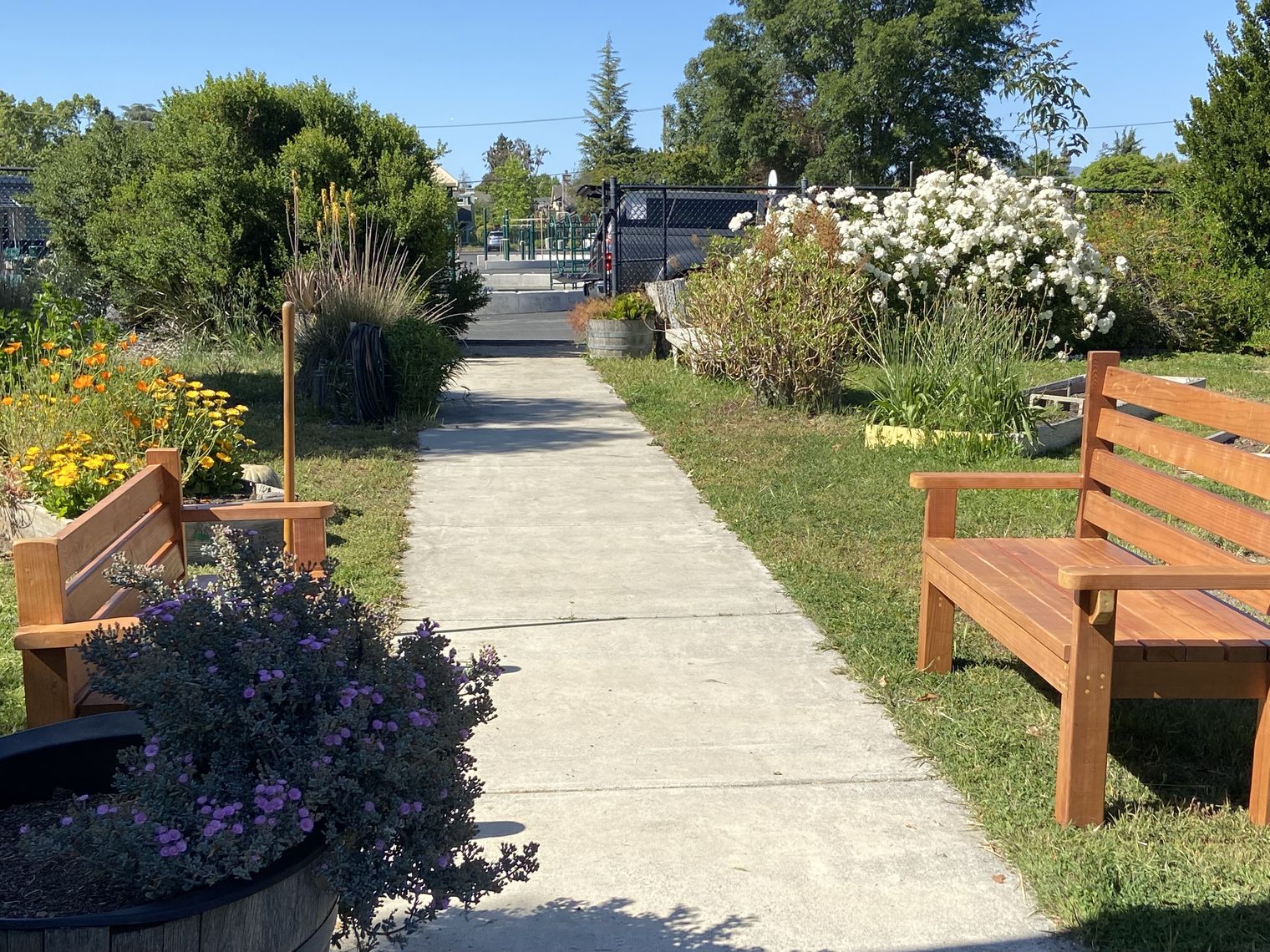 Two hand-made garden benches in a garden
