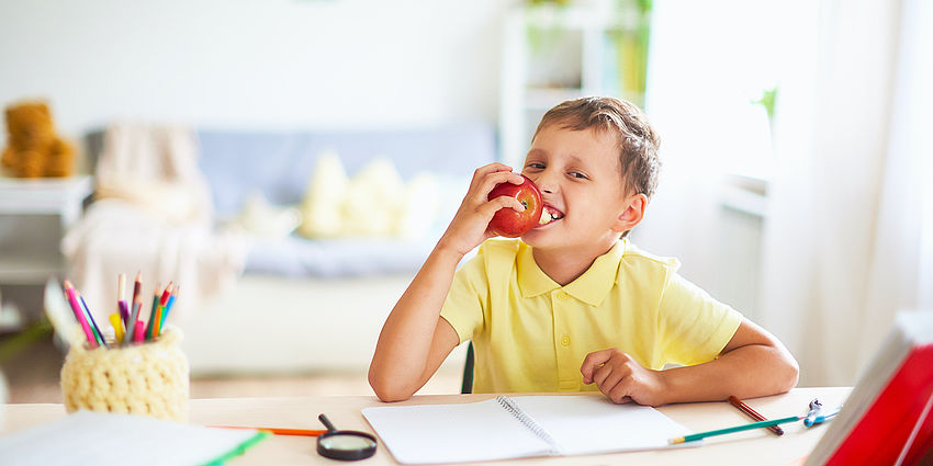 boy at home eating apple while dong homework