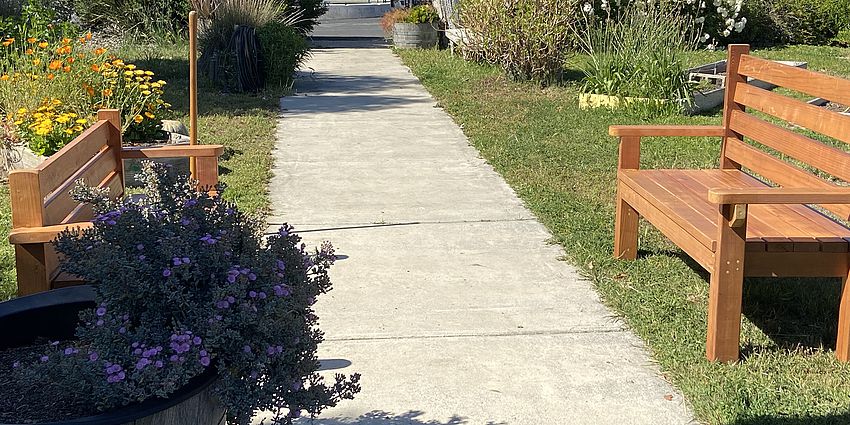 Two hand-made garden benches in a garden