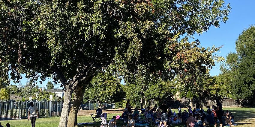 Picnic under a large tree