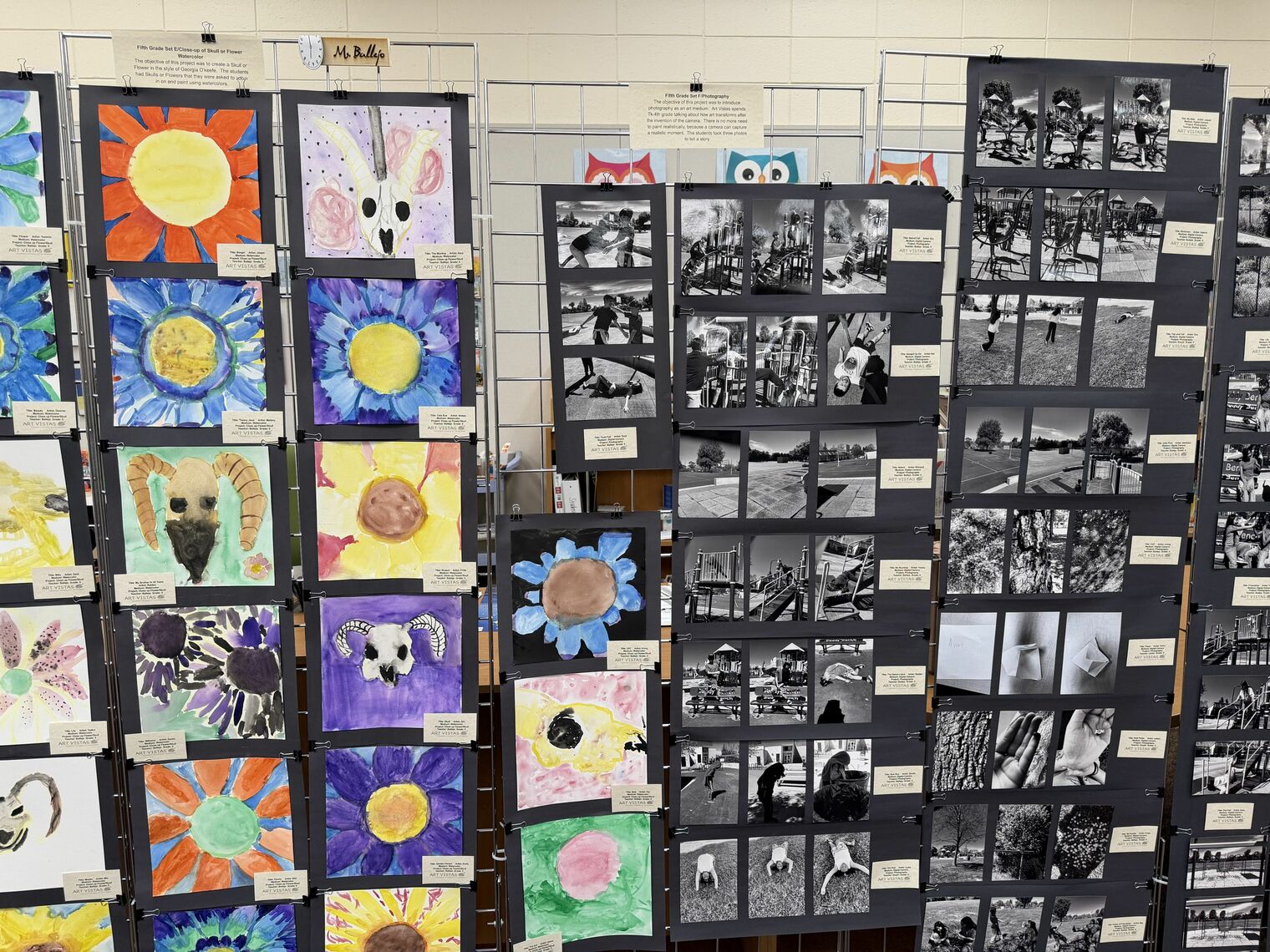 A variety of watercolor paintings and black and white photos