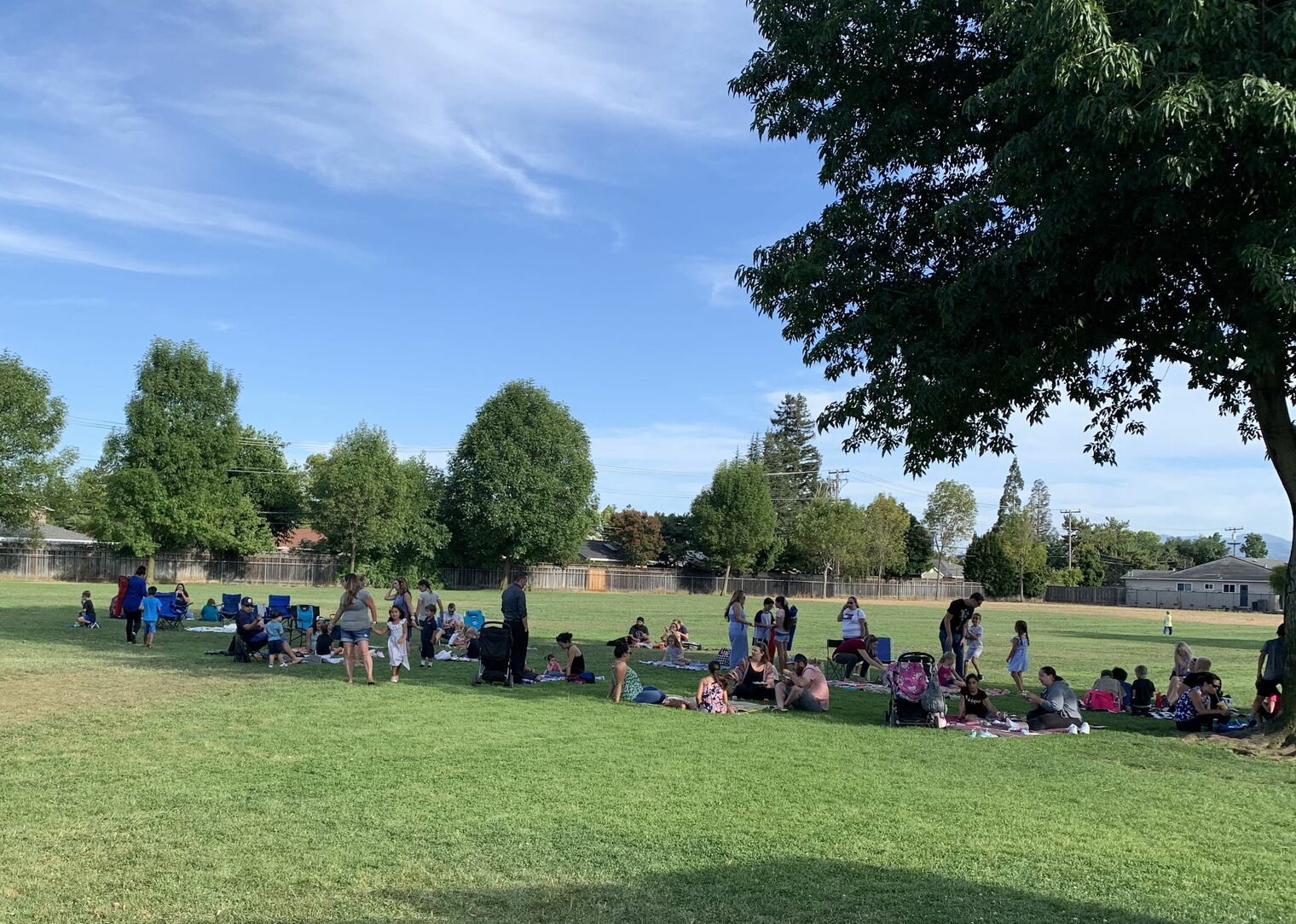 adults and children under a tree on picnic blankets