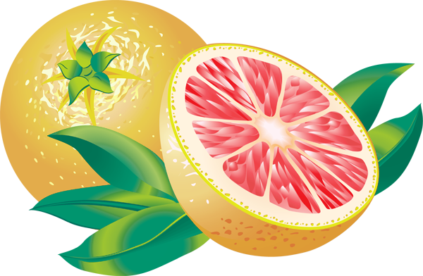 grapefruit grapefruit