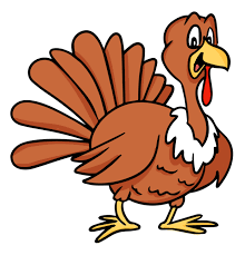 Turkey Turkey